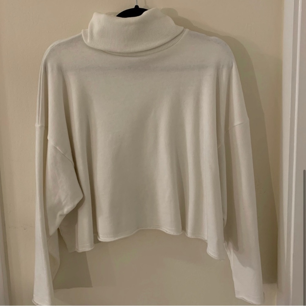 American Eagle Crop Turtleneck